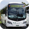 McKenzie's buses
